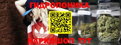 a pvp Заводоуковск