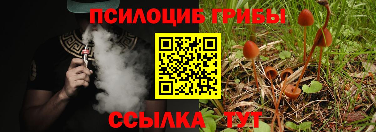 Каспийск  Галлюциногенные грибы прущие грибы  Псилоцибиновые грибы ЛСД  Вход с VPN 